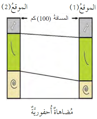 المضاهاة الأحفورية